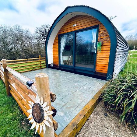 Beech Pod Cabin In Beautiful Surroundings Ρέξαμ Εξωτερικό φωτογραφία