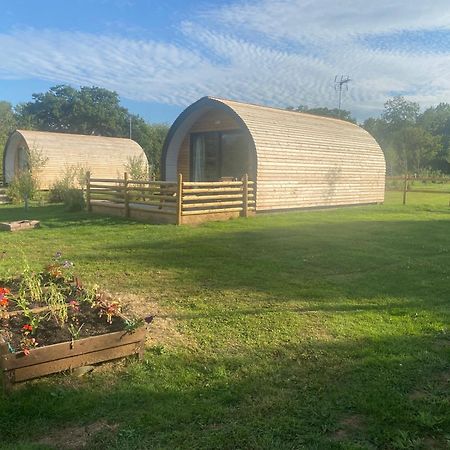 Beech Pod Cabin In Beautiful Surroundings Ρέξαμ Εξωτερικό φωτογραφία