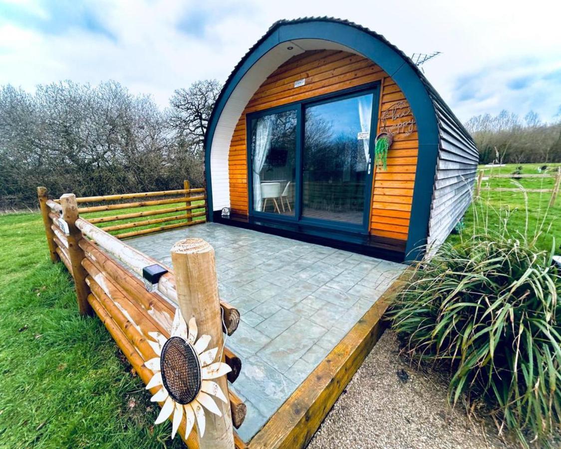 Beech Pod Cabin In Beautiful Surroundings Ρέξαμ Εξωτερικό φωτογραφία