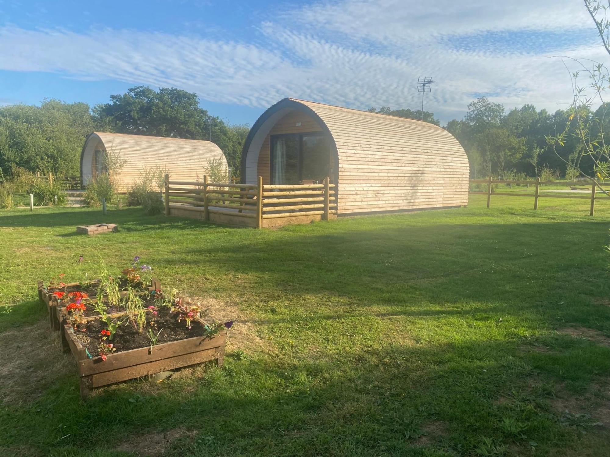 Beech Pod Cabin In Beautiful Surroundings Ρέξαμ Εξωτερικό φωτογραφία