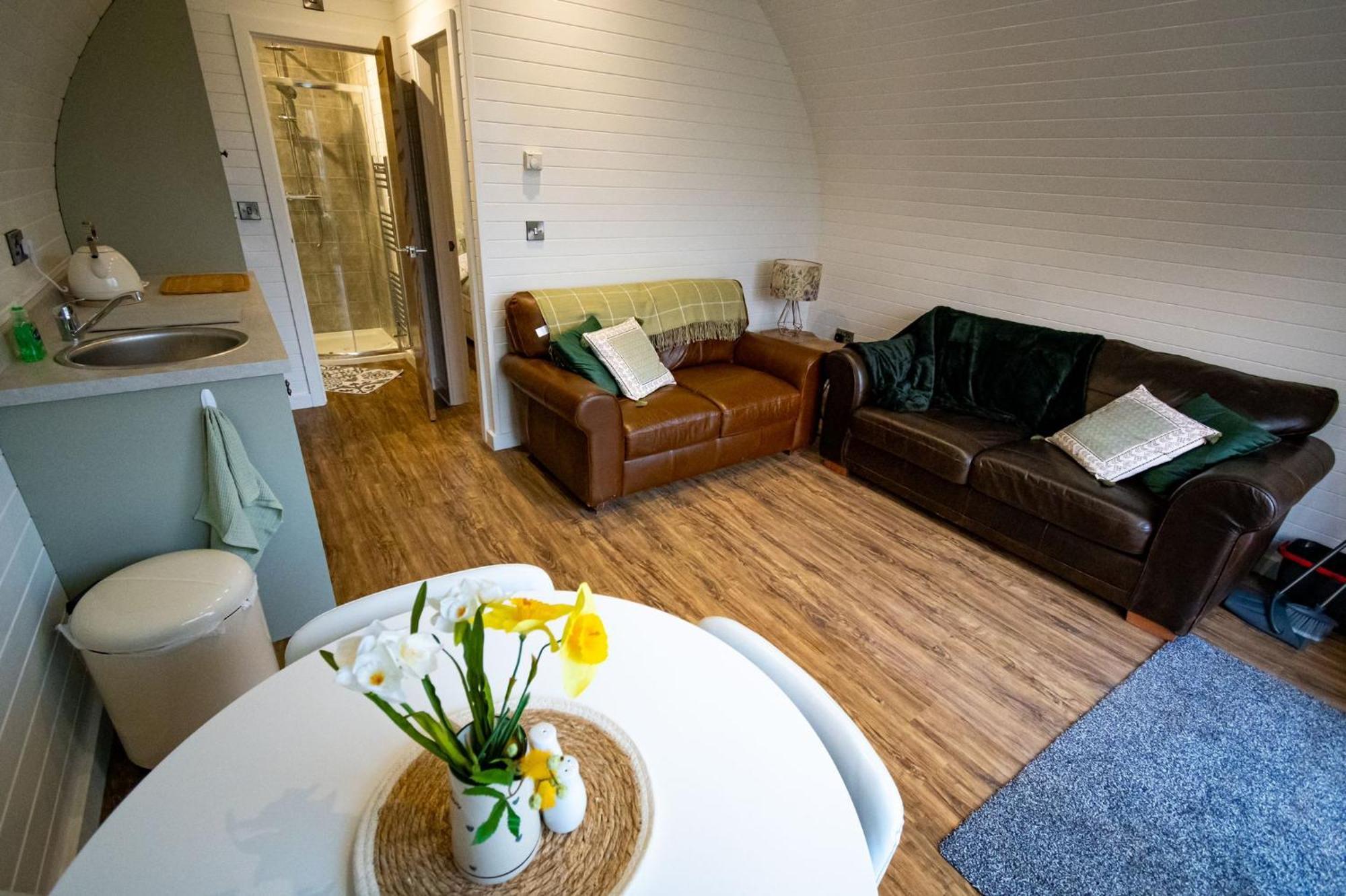 Beech Pod Cabin In Beautiful Surroundings Ρέξαμ Εξωτερικό φωτογραφία